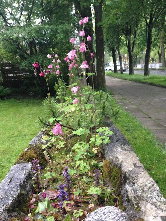 Tuberoza Bed & Breakfast Zakopane Exterior photo